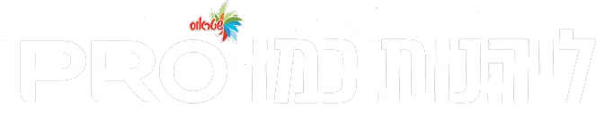 ליהנות כמו pro